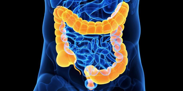 Tips Menjaga Kesehatan di Usus Besar Tips Menjaga Kesehatan di Usus Besar