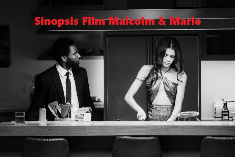 Sinopsis Film Malcolm & Marie